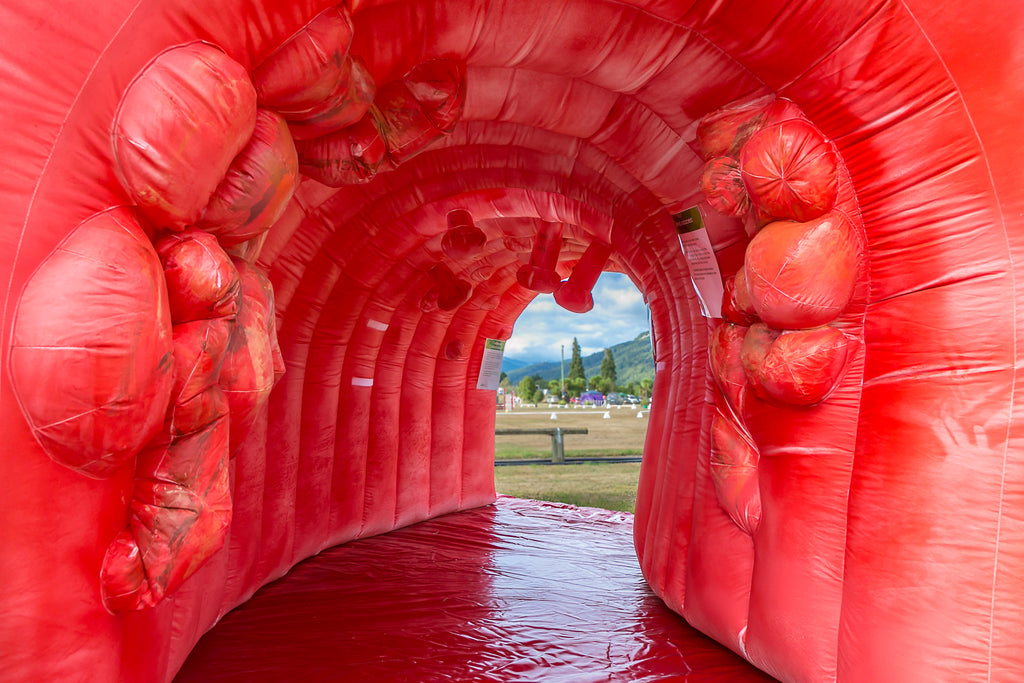 Custom Promotional Inflatables - Promotional & Signage - Aflex Technology