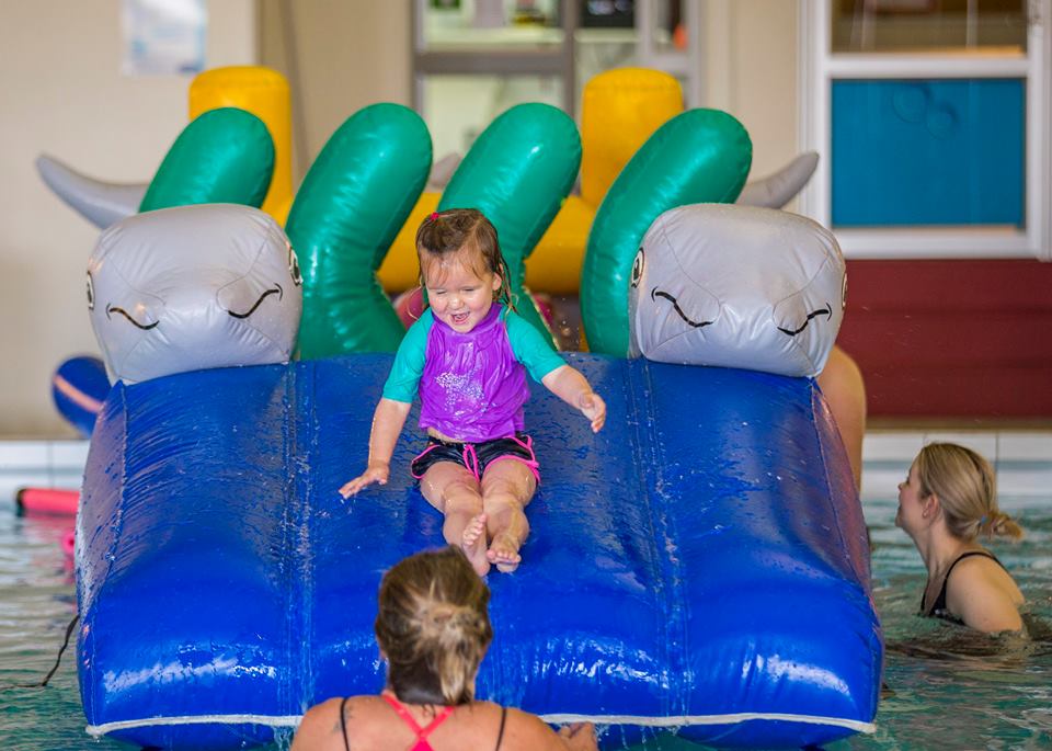 Dolphin Play & Slide - Constant Airflow Obstacle Courses - Aflex Technology