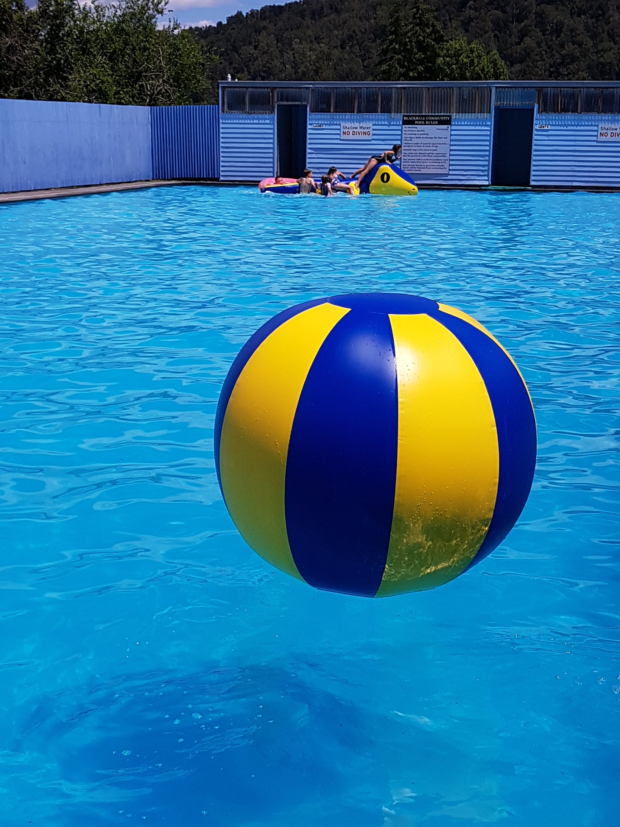Giant Inflatable Ball Inflatable Water or Land Toy Aflex Inflatables