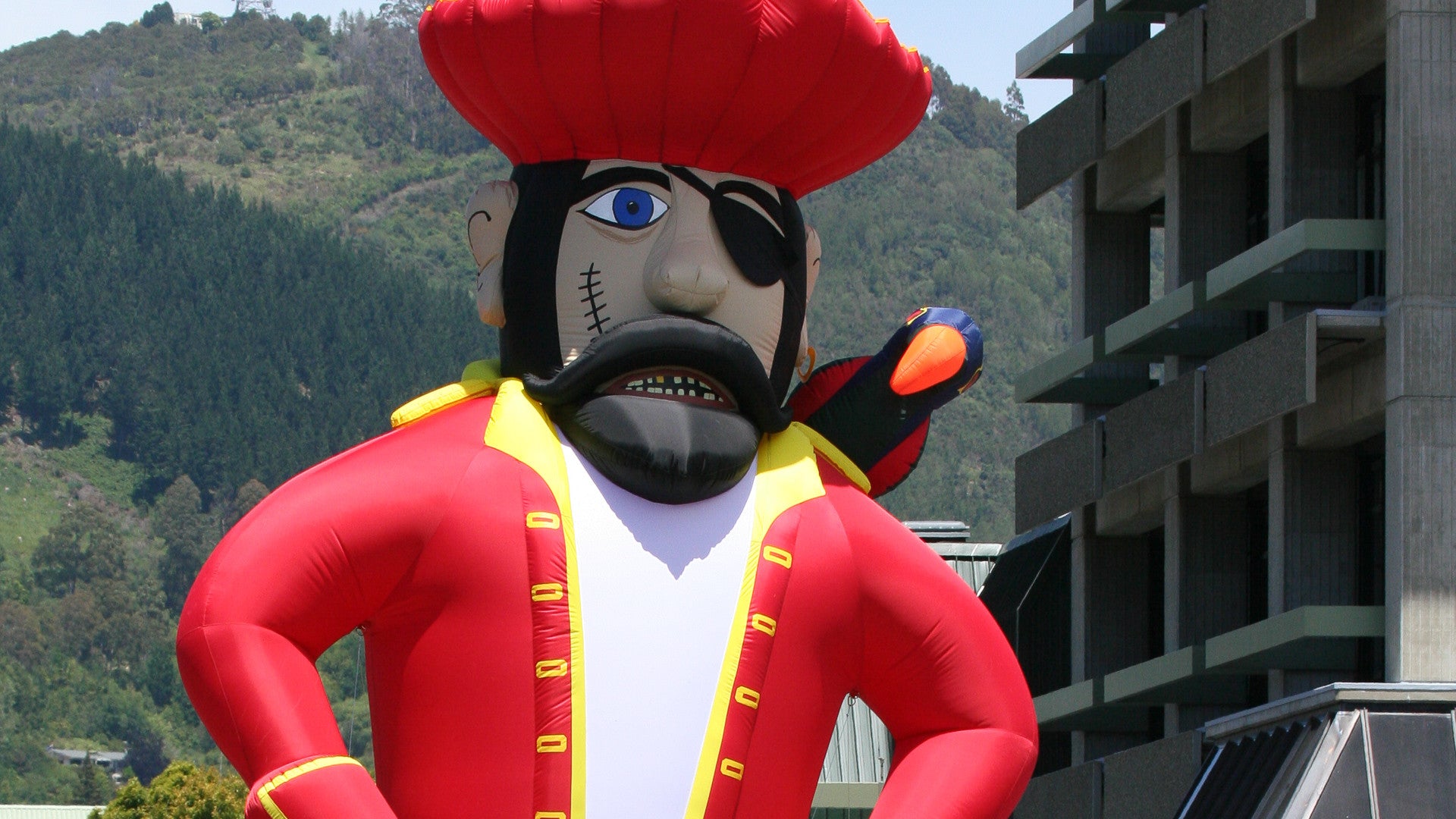 Custom Promotional Inflatables – Aflex Inflatables